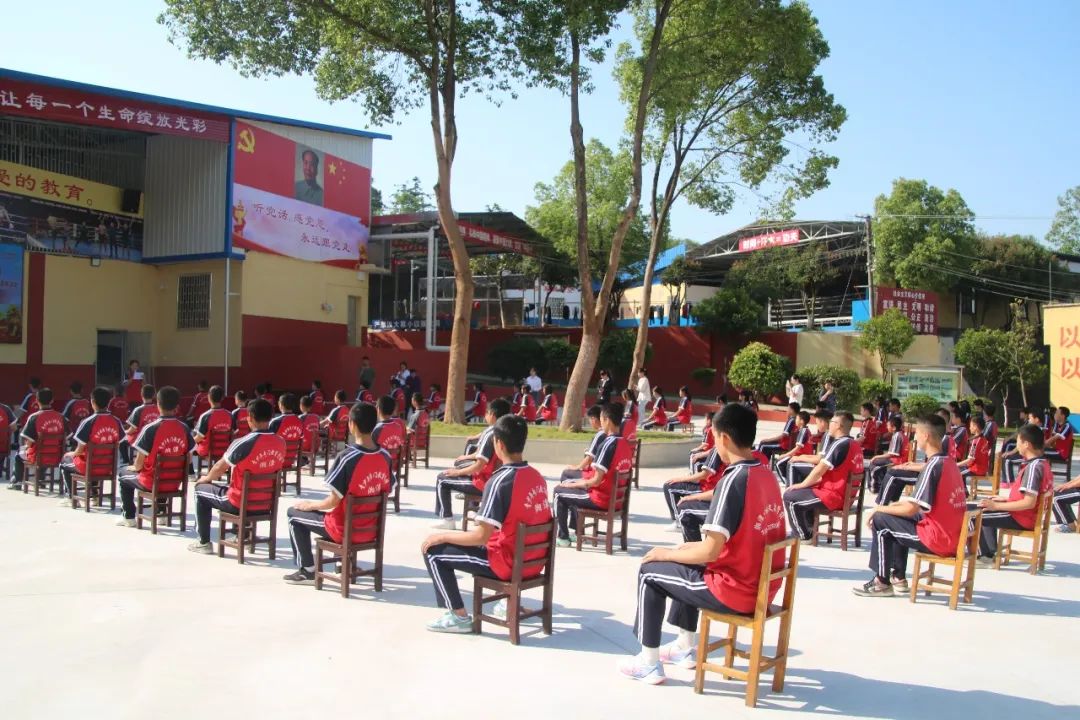 1747124305370589.jpeg image5.jpeg